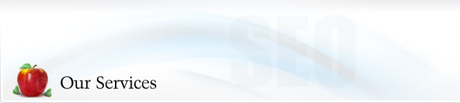 Our Services Our Services
